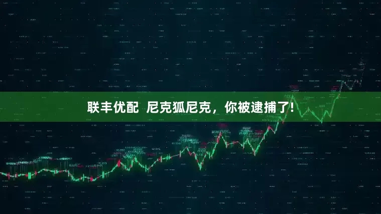 联丰优配  尼克狐尼克，你被逮捕了!