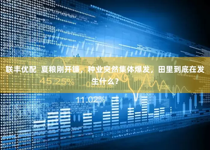 联丰优配  夏粮刚开镰，种业突然集体爆发，田里到底在发生什么？